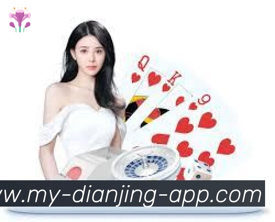 App功能展示图